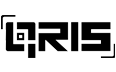 QRIS